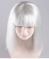 White Witch Adult Wig